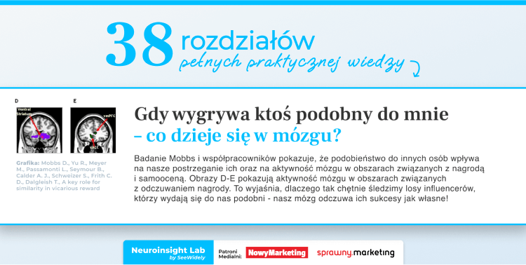 38 rozdziałów pełnych praktycznej wiedzy – infografika o podobieństwie mózgów i wpływie otoczenia na aktywność mózgu według badań Mobbs i Dalgleish