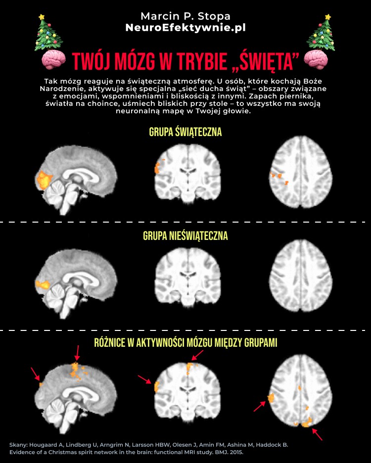 Badanie fMRI mózgu w trybie świąt - aktywność neurologiczna podczas Bożego Narodzenia, porównanie grupy świątecznej i nieświątecznej, NeuroEfektywnie.pl