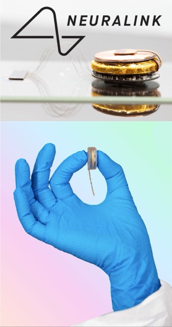 Urządzenie Neuralink – implant mózgowy BCI trzymany w rękawiczce medycznej i chip z elektrodami interfejsu mózg-komputer