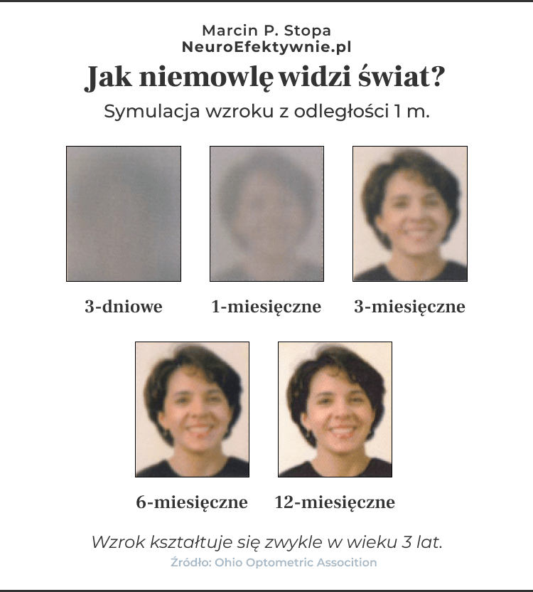 Symulacja rozwoju wzroku niemowlęcia od 3 dnia do 12 miesiąca życia - pokazuje stopniową poprawę ostrości widzenia