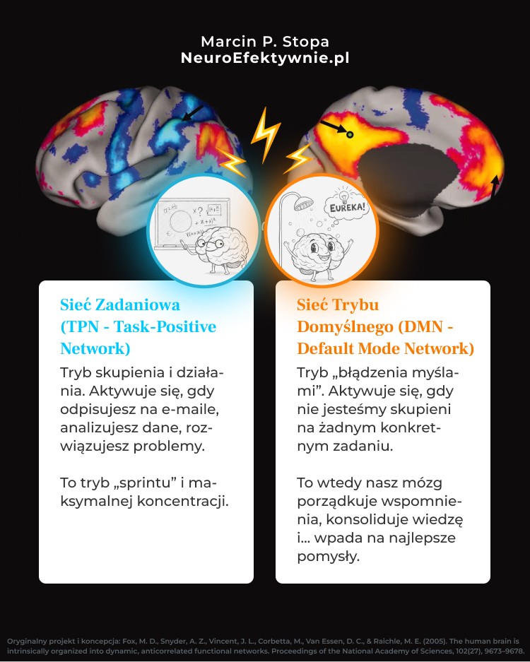 siec-zadaniowa-tpn-vs-siec-trybu-domyslnego-dmn-mozg